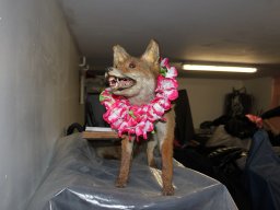 2012_01_07_Soiree_Depart